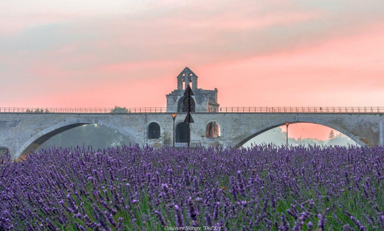 Mas De La Grave Bed & Breakfast Althen-des-Paluds Dış mekan fotoğraf